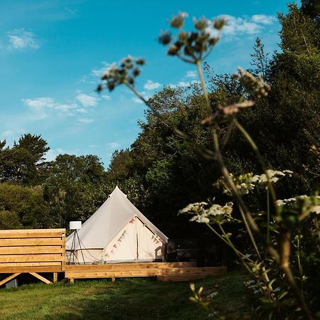 Willow Valley Glamping Буде Экстерьер фото